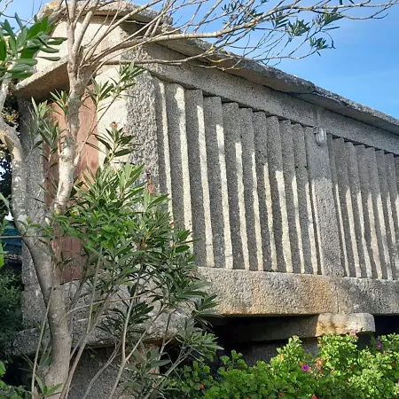 La Cruz Del Sur - 